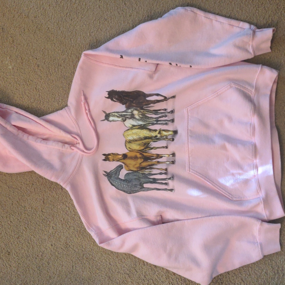 Arabian Knights Horse Hoodie